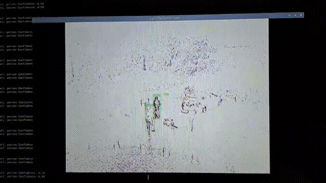 gif-video-test-yolov8